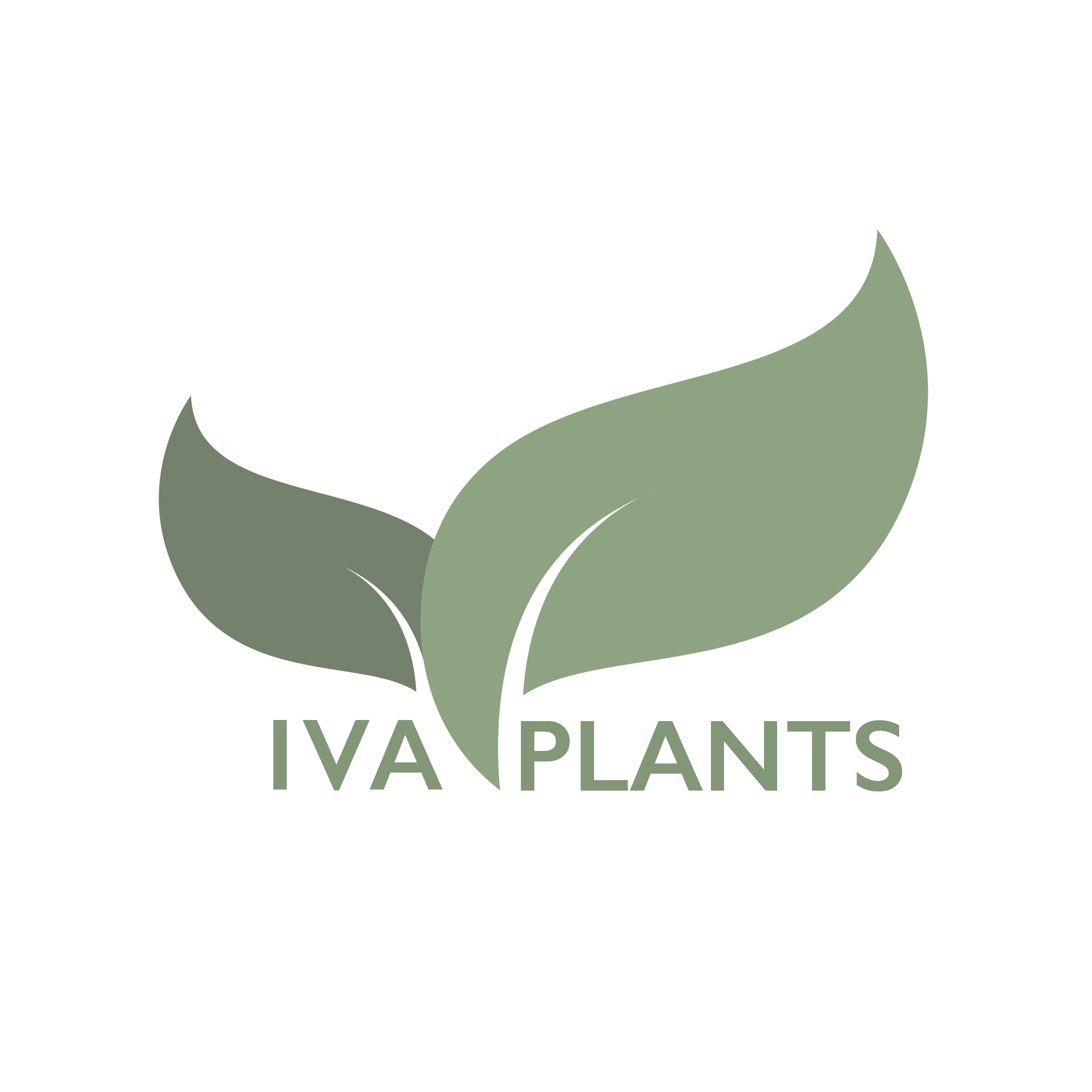 IVA PLANTS