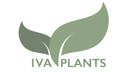 IVA PLANTS